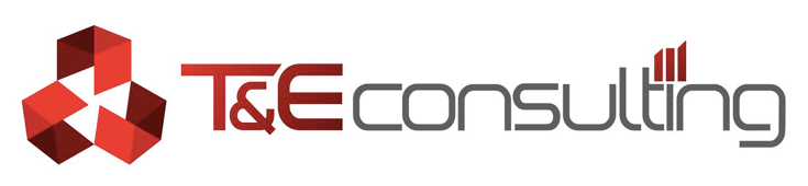 T&E Consulting